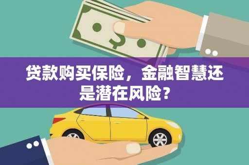 正蓝旗贷款购买保险，金融智慧还是潜在风险？