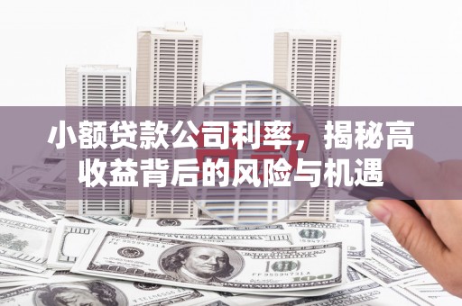 正蓝旗小额贷款公司利率，揭秘高收益背后的风险与机遇