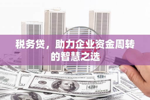 正蓝旗税务贷，助力企业资金周转的智慧之选