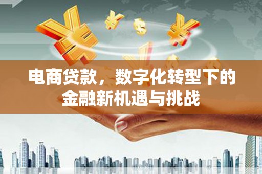 正蓝旗电商贷款，数字化转型下的金融新机遇与挑战