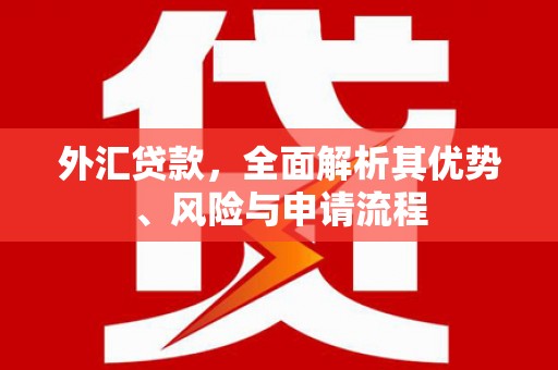 正蓝旗外汇贷款，全面解析其优势、风险与申请流程