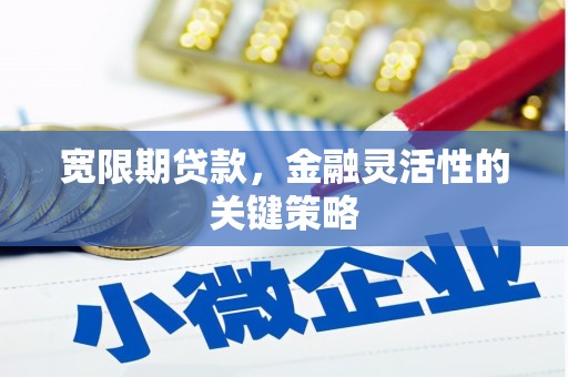 正蓝旗宽限期贷款，金融灵活性的关键策略
