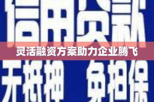 正蓝旗灵活融资方案助力企业腾飞