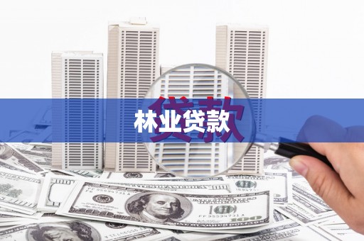 正蓝旗林业贷款