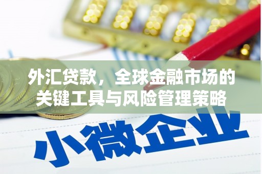 正蓝旗外汇贷款，全球金融市场的关键工具与风险管理策略
