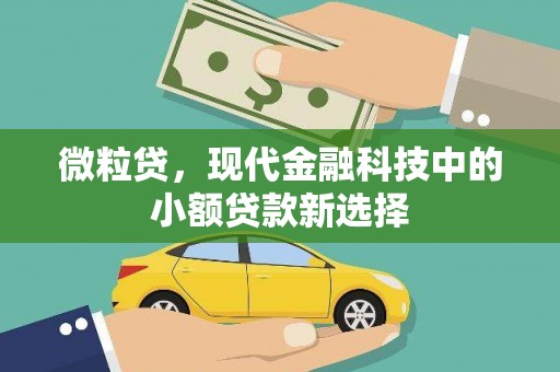 正蓝旗微粒贷，现代金融科技中的小额贷款新选择