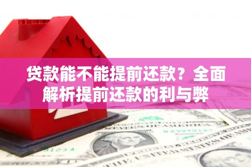 正蓝旗贷款能不能提前还款？全面解析提前还款的利与弊