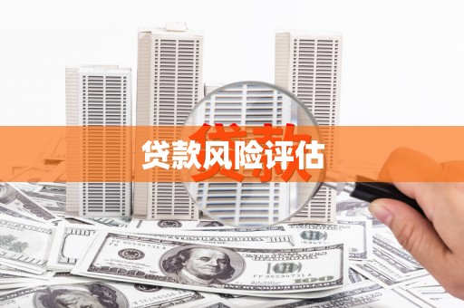 正蓝旗贷款风险评估