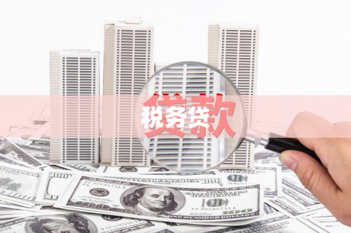 正蓝旗税务贷