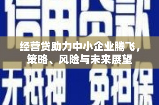 正蓝旗经营贷助力中小企业腾飞，策略、风险与未来展望