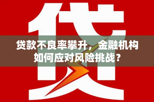 正蓝旗贷款不良率攀升，金融机构如何应对风险挑战？
