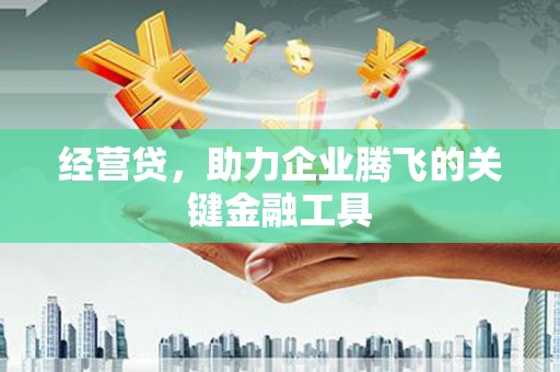 正蓝旗经营贷，助力企业腾飞的关键金融工具
