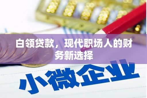 正蓝旗白领贷款，现代职场人的财务新选择