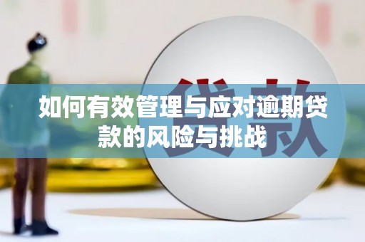 正蓝旗如何有效管理与应对逾期贷款的风险与挑战