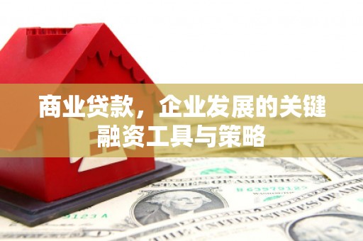 正蓝旗商业贷款，企业发展的关键融资工具与策略