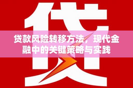 正蓝旗贷款风险转移方法，现代金融中的关键策略与实践