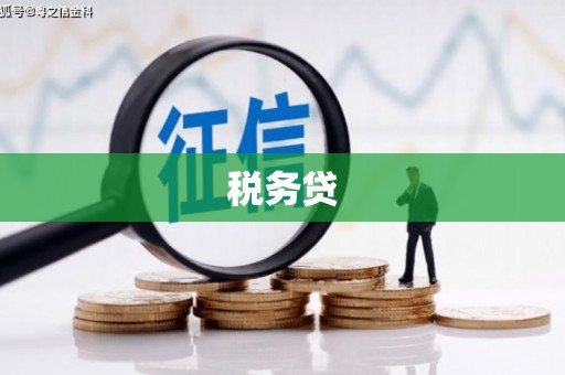 正蓝旗税务贷
