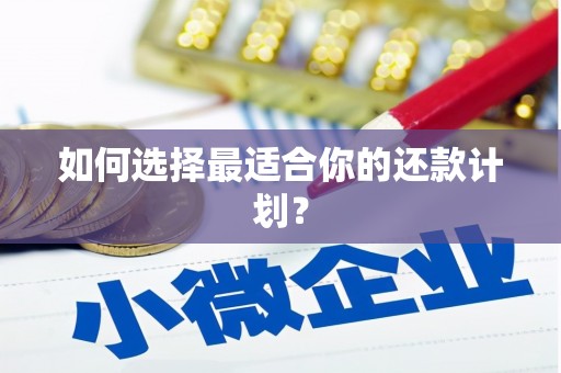 正蓝旗如何选择最适合你的还款计划？