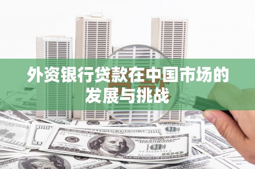 正蓝旗外资银行贷款在中国市场的发展与挑战