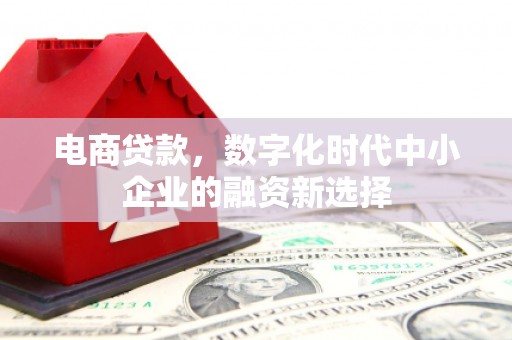 正蓝旗电商贷款，数字化时代中小企业的融资新选择