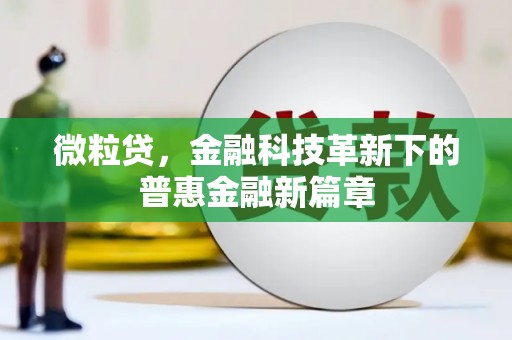 正蓝旗微粒贷，金融科技革新下的普惠金融新篇章