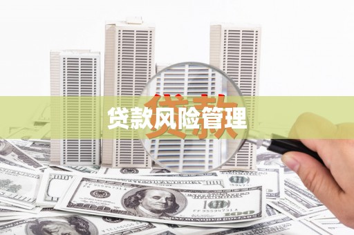 正蓝旗贷款风险管理