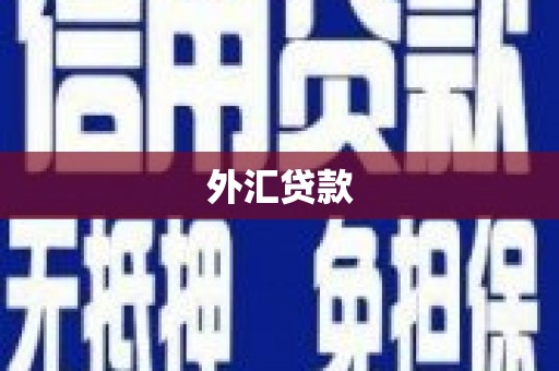 正蓝旗外汇贷款