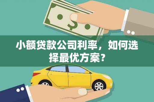 正蓝旗小额贷款公司利率，如何选择最优方案？