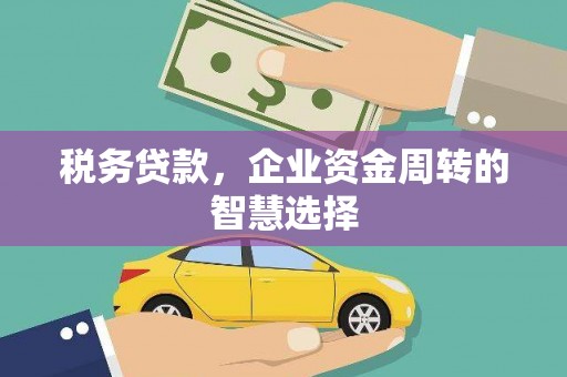 正蓝旗税务贷款，企业资金周转的智慧选择