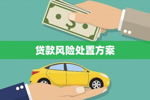 正蓝旗贷款风险处置方案