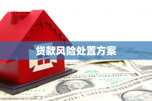 正蓝旗贷款风险处置方案