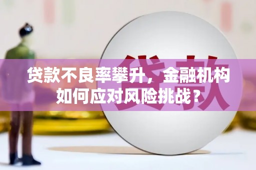 正蓝旗贷款不良率攀升，金融机构如何应对风险挑战？