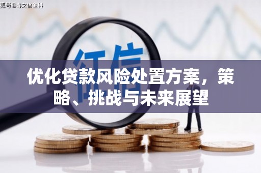 正蓝旗优化贷款风险处置方案，策略、挑战与未来展望