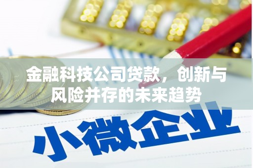 正蓝旗金融科技公司贷款，创新与风险并存的未来趋势