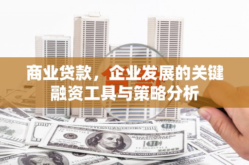 正蓝旗商业贷款，企业发展的关键融资工具与策略分析