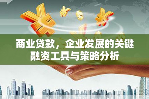 正蓝旗商业贷款，企业发展的关键融资工具与策略分析