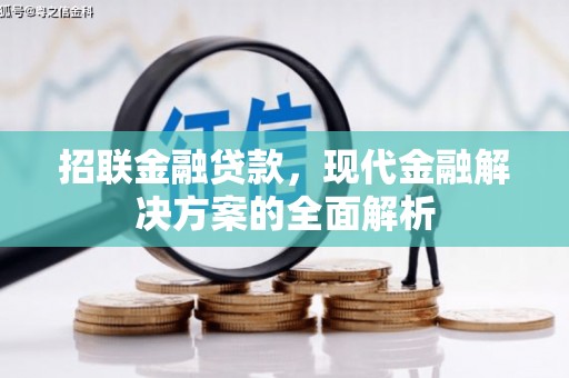 正蓝旗招联金融贷款，现代金融解决方案的全面解析