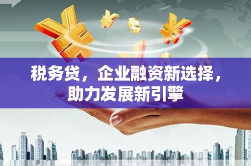 正蓝旗税务贷，企业融资新选择，助力发展新引擎