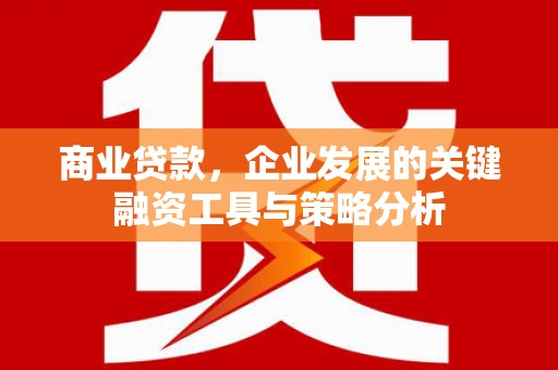 正蓝旗商业贷款，企业发展的关键融资工具与策略分析
