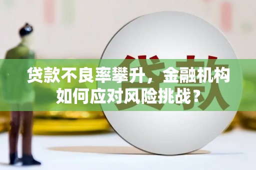 正蓝旗贷款不良率攀升，金融机构如何应对风险挑战？