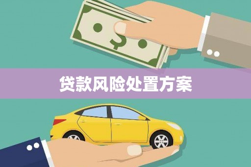 正蓝旗贷款风险处置方案