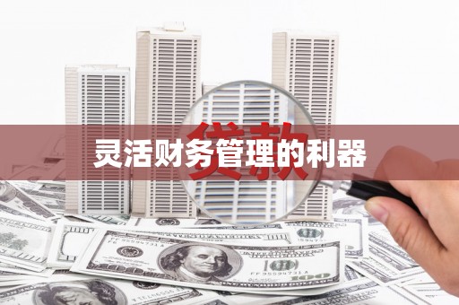 正蓝旗灵活财务管理的利器