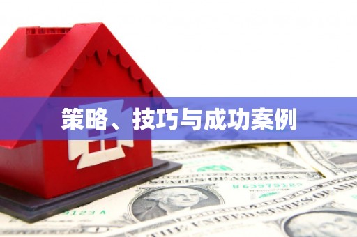 正蓝旗策略、技巧与成功案例