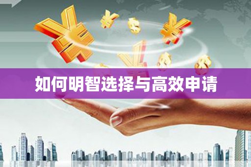正蓝旗如何明智选择与高效申请