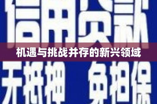 正蓝旗机遇与挑战并存的新兴领域