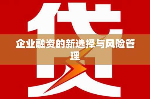 正蓝旗企业融资的新选择与风险管理