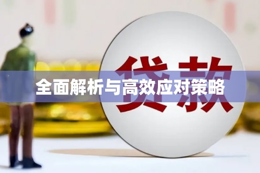 正蓝旗全面解析与高效应对策略