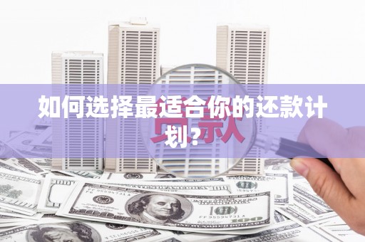 正蓝旗如何选择最适合你的还款计划？