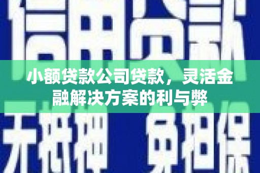 正蓝旗小额贷款公司贷款，灵活金融解决方案的利与弊