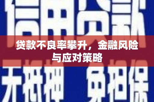 正蓝旗贷款不良率攀升，金融风险与应对策略